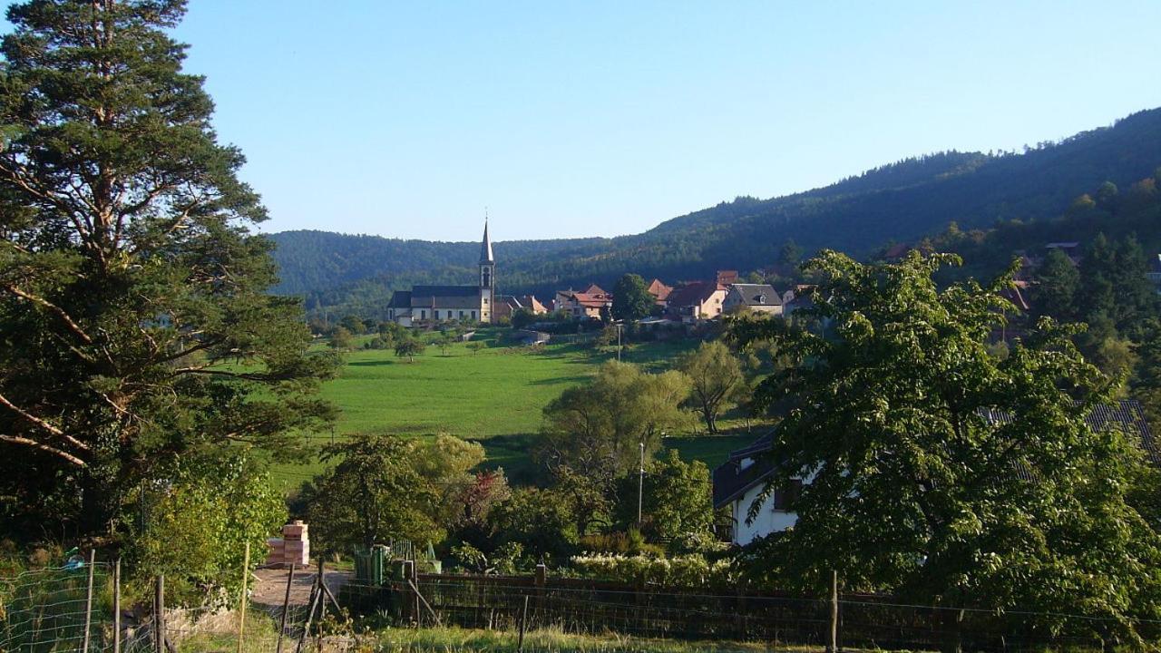Hotel Du Haut Koenigsbourg- Entre Vignes Et Chateau Thannenkirch Buitenkant foto