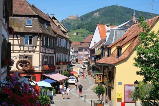Hotel Du Haut Koenigsbourg- Entre Vignes Et Chateau Thannenkirch Buitenkant foto