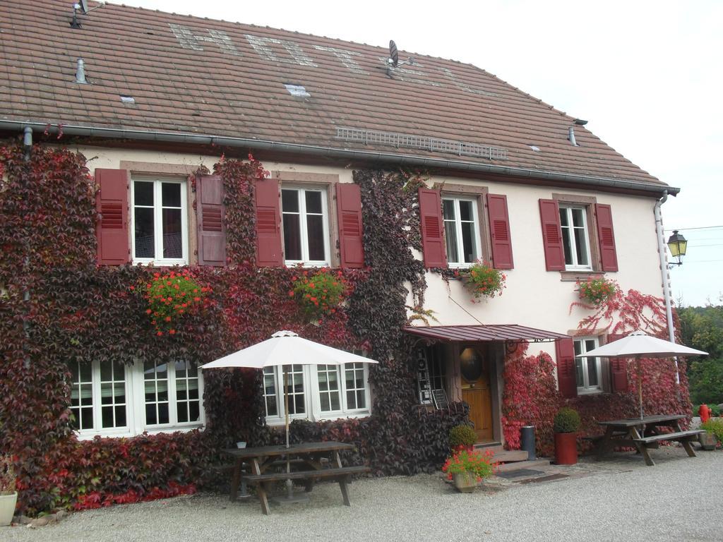 Hotel Du Haut Koenigsbourg- Entre Vignes Et Chateau Thannenkirch Buitenkant foto